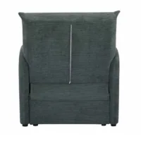 Fotelis „Kampis“ (išskleidžiamas)