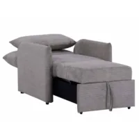 Fotelis „Kampis“ (išskleidžiamas)